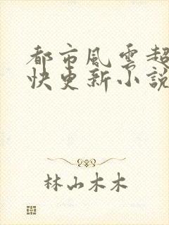 都市风云超前超快更新小说