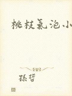 桃枝气泡小说