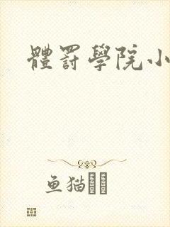 体罚学院小说