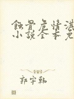 蚀骨危情淇老游小说全本免费封面