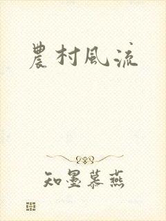 农村风流封面