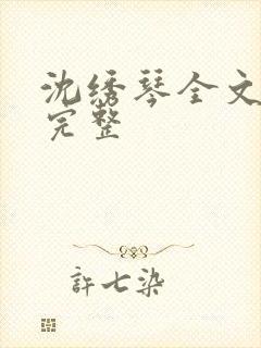 沈绣琴全文阅读完整封面