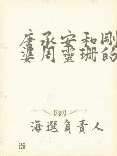 唐承安和刚子老婆周灵珊的小说免费阅读