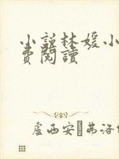 小说林媛小正免费阅读封面