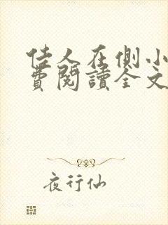 佳人在侧小说免费阅读全文无弹窗