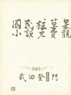 国民校草是女生小说免费观看