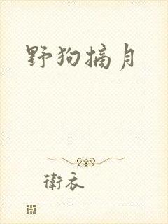 野狗摘月封面