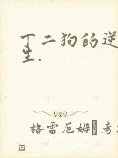 丁二狗的逆袭人生.
