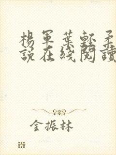 杨军叶轻柔的小说在线阅读封面