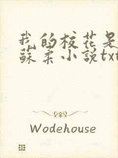 我的校花是福姬苏柔小说txt