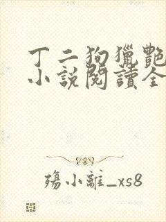 丁二狗猎艳人生小说阅读全文