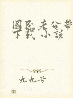 国民老公带回家下载 小说封面