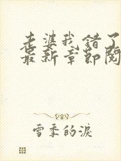 老婆我错了小说最新章节阅读全文