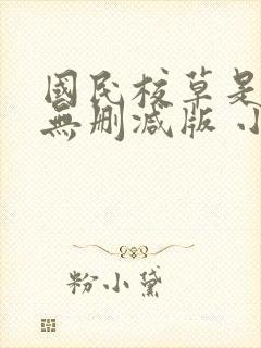 国民校草是女生无删减版 小说