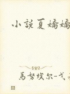 小说夏娇娇谢羁