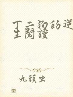 丁二狗的逆袭人生阅读封面