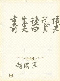 重生后我顶替了前夫白月光有声
