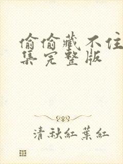 偷偷藏不住17集完整版