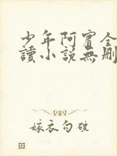 少年阿宾全文阅读小说无删减