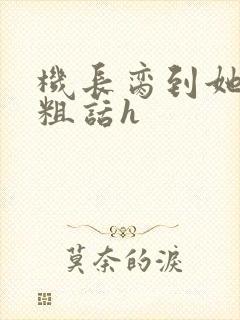 机长脔到她哭h粗话h
