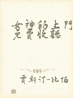 女神的上门豪婿免费收听
