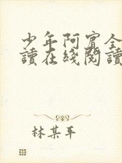 少年阿宾全文阅读在线阅读封面