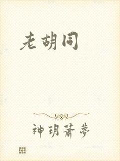 老胡同