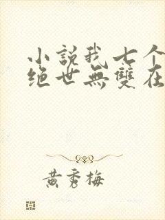 小说我七个姐姐绝世无双在线阅读