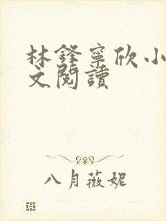 林锋宁欣小说全文阅读