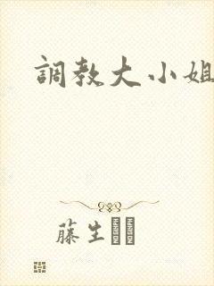 调教大小姐