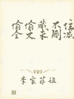 偷偷藏不住小说全文未删减版