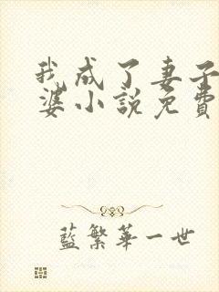 我成了妻子的老婆小说免费阅读全文封面
