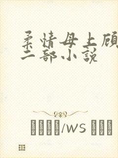柔情母上顾为第二部小说