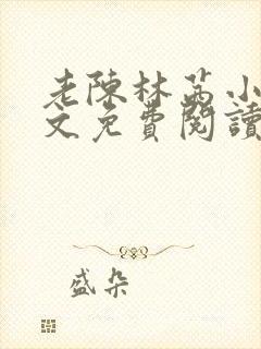 老陈林茜小说全文免费阅读