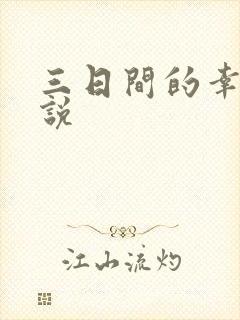 三日间的幸福小说封面