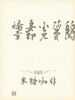 娇妻小莎的最新章节免费阅读全文小