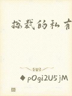 总裁的私有宝贝封面