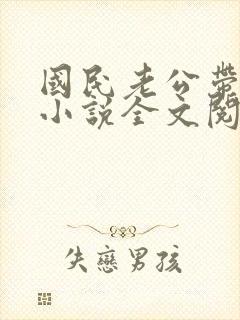 国民老公带回家小说全文阅读免费封面
