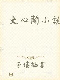 文心阁小说