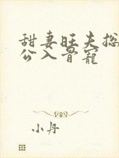 甜妻旺夫总裁老公入骨宠