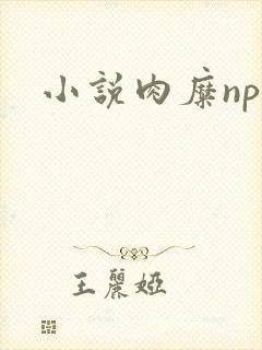 小说肉糜np