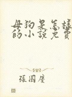 母狗是怎样炼成的小说免费阅读