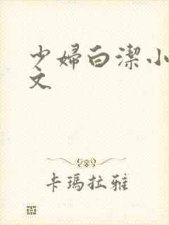 少妇白洁小说全文