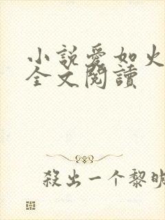 小说爱如火芳姨全文阅读封面