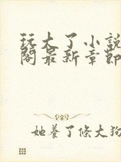 玩大了小说笔趣阁最新章节无弹窗