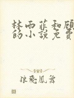 林雨菲和顾北潇的小说免费阅读