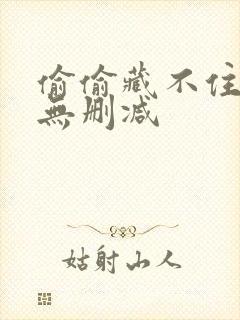 偷偷藏不住全文无删减