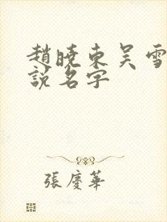 赵晓东吴雪晴小说名字