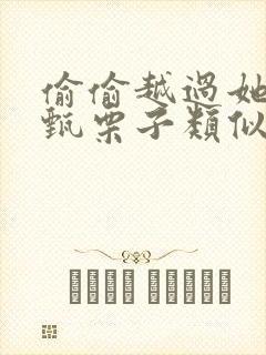 偷偷越过她by甄栗子类似小说封面