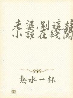 老婆,别这样 小说在线阅读